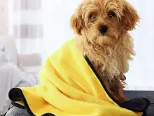Letzte Chance, Haustiere mit DryPaw Haustierhandtüchern trocken und warm zu halten! Begrenzter Lagerbestand verfügbar ( GRÖSSE M )
