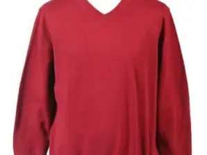 Men's V-neck Sweaters Mod. 1042 assorted colors.