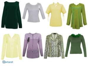 Stijlvolle dames blouses, coltruien en shirts