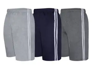 Sports shorts Sport Ref. 2010 Assorted colors.
