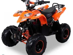 Quad Teenager und Erwachsene 48V 1000W Leistung Q