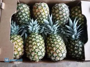 ANANAS SWEET MD2 / PINEAPPLE SWEET BIO / ANANS FLUGZEUG VON DER ELFENBEINKÜSTE