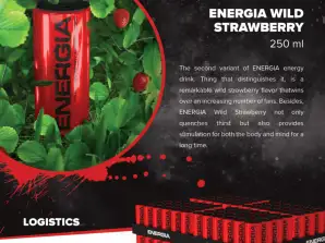 Wholesale of Energy drink wild strawberry 250ml Red Bull, Monster, XL