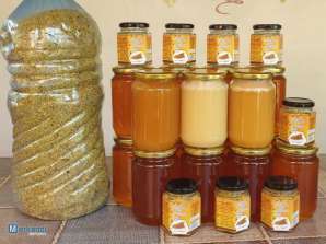 Natürlicher Honig aus ökologisch sauberen Gebieten. Ernte 2020