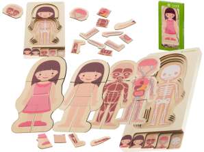Dřevěná puzzle vrstvená stavba těla montessori dívka
