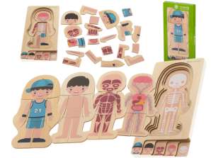 Dřevěné puzzle vrstvená struktura těla Montessori chlapec
