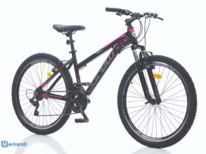 Wholesale 24 inch MTB for Women with V Brake and 21 Speed Alloy Frame