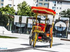 Rickshaw bicicleta elétrica triciclo 800W