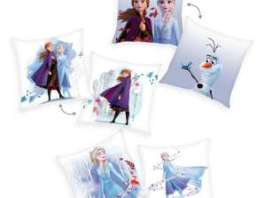 Disney Frozen 2 / Frozen 2 - Cuscino decorativo 40x40cm