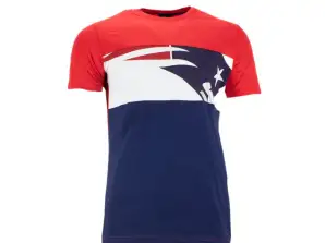 Fanatics NFL Pannelled T-Shirt New England Patriots S M L XL 2XL 3XL