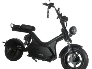 Electric Scooter/ Electric Scooter 2000W I-COCO 4.0