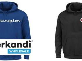 Champion Wholesale Big and Tall HOODIE Sweatshirts Assortment (48 Pieces) - Sizes XLT to 6X