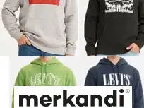 Levi’s Sweat-shirts à capuche à logo imprimé pour hommes - Vente en gros en vrac 48pcs