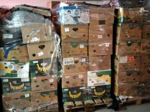 PALLETS MIX HOUSEHOLD ITEMS, TOOLS, GARDEN, ELECTRONICS, TOYS, OFFICE SUPPLIES, CLOTHING