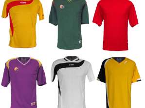 HEREN SPORT T-SHIRTS ALS KORTE MOUW MIX VAN MODELLEN