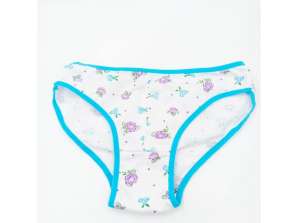 Assorted Lot of Women's Underwear for Wholesale with International Shipping