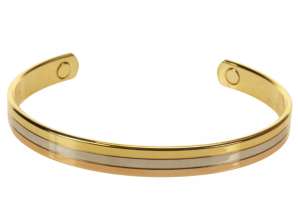 Wellys GD 027510:Bracelet tricolore magnétique classique