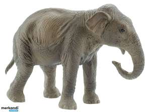 Vadon élő állatok Indiai elefánt tehén karakter