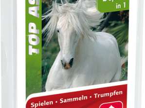 ASS Altenburger 22571991 TOP ASS Pferde Card Game