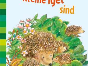 Wendt  Wo kleine Igel sind