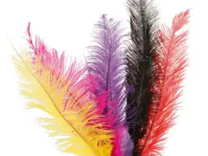 Ostrich feathers assorted colors 35 45 cm Adult
