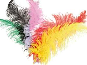 Ostrich feathers 55 65 cm Adult