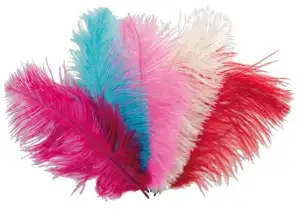 Ostrich feathers different colors 25 cm Adult