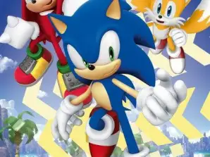 Kirpi Sonic: Arkadaşlarım Arkadaş Kitabı