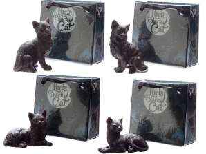 Gatto nero felice in un mini sacchetto regalo per pezzo