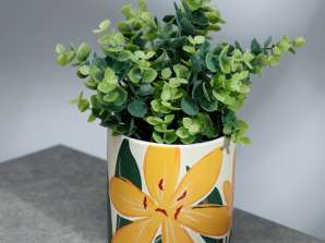 Florens Hesperantha mer botanisk inomhus växtkruka Stor