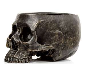 Skull plant pot