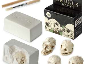 Dig it Out Human Skull Dig A Saur's Utgravning Set Per Piece