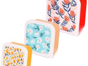 Pick of the Bunch Lunchboxes Lunch boxes set of 3 S/M/L