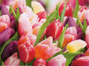 20 Servietten / Napins 33 x 33 cm   Pink & Violet Tulips   Spring 2024