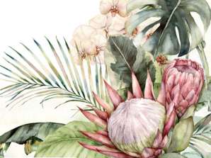 20 salvrätikut 33 x 33 cm Protea &; Orhideed igapäevaselt