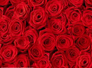 20 lautasliinaa 24 x 24 cm Beaucoup de Roses Everyday