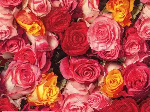 20 salvrätikut 33 x 33 cm Rosas Coloridas Everyday