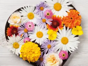 20 peçete 33 x 33 cm Flores de Corazon Her Gün