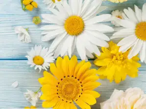 20 guardanapos / napins 33 x 33 cm Brillantes Flores de Jardin Todos os dias