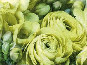 20 serviettes de table 33 x 33 cm Freesia & Bouton d’or persan vert Everyday