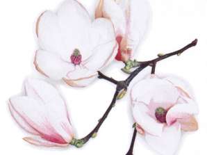 20 servietter / servietter 33 x 33 cm hvid Magnolia hvid Hver dag
