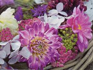 20 guardanapos 33 x 33 cm Flores Púrpura en Guirnalda Todos os dias