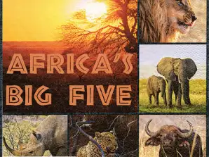 20 servetter 33 x 33 cm Afrikas fem stora vardagskläder