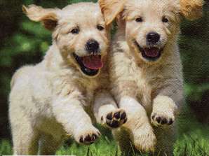 20 Servietten / Napins 33 x 33 cm   Happy Puppies   Everyday