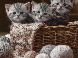 20 salvrätikut 33 x 33 cm Triibulised kassipojad iga päev