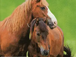 20 Servietten / Napins 33 x 33 cm   Two Horses   Everyday