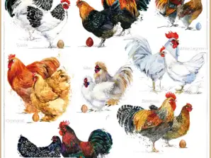 20 servetter 33 x 33 cm Kycklingar varje dag