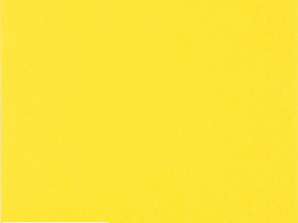 20 serwetek 33 x 33 cm UNI słoneczny żółty Everyday