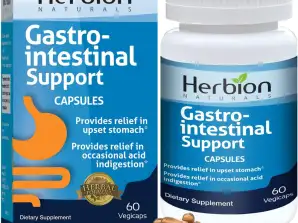Herbion Naturals Gastro-intestinal Support Herbal Blend para el alivio del malestar estomacal, la salud y la función gastrointestinal, la indigestión ácida ocasional, H
