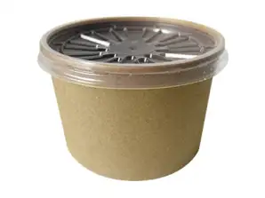 Special offer: Kraft Soup Bowl 480 ml with Lid - Manufacturer